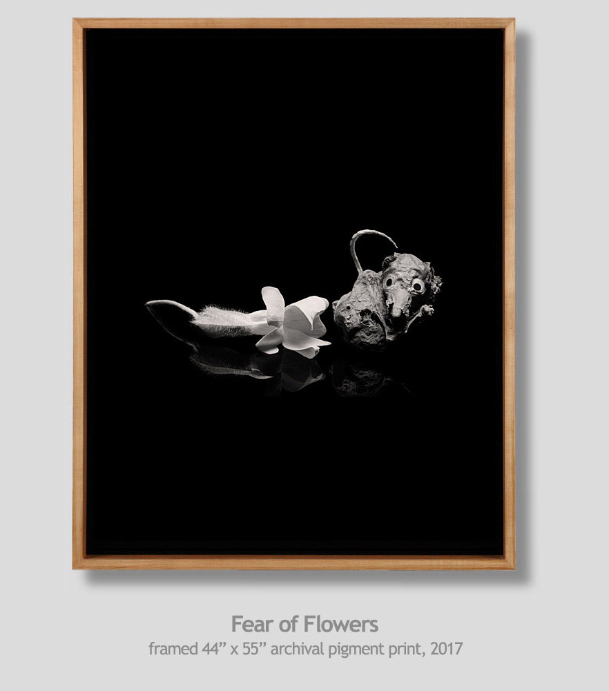 fear of flowers