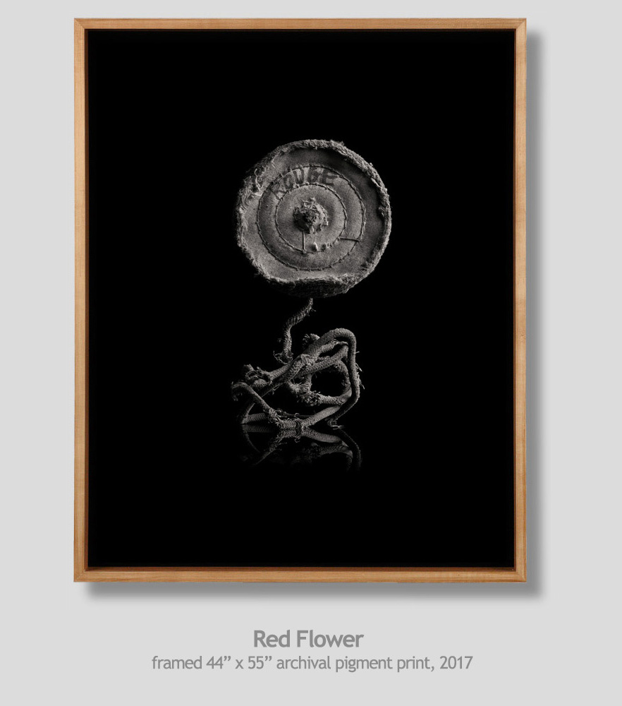 Red FLower